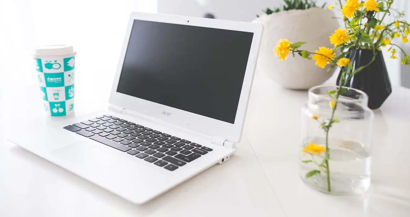 Ремонт ноутбуков Acer в Жуковском