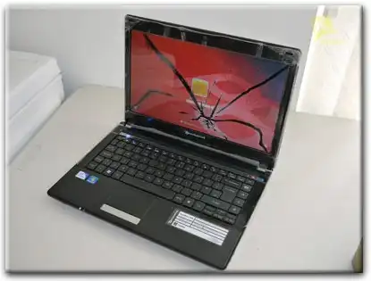 Замена матрицы Packard Bell в Жуковском